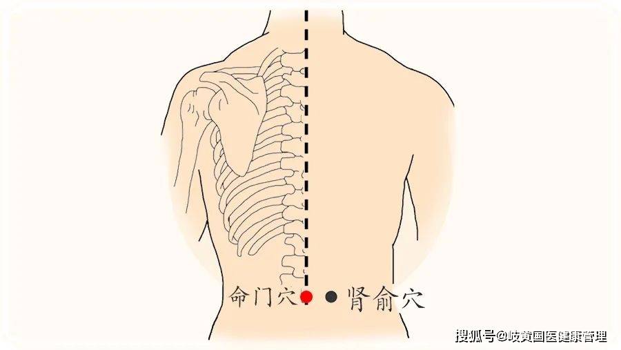 艾灸命门和肾俞命门位于腰部正中线上