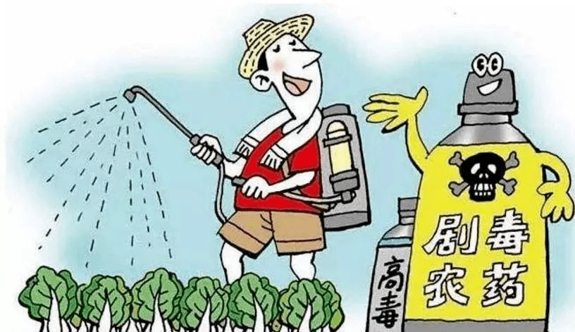 清水_蔬菜_蔬果