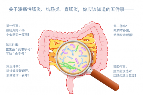 腸道_屏障_桿菌