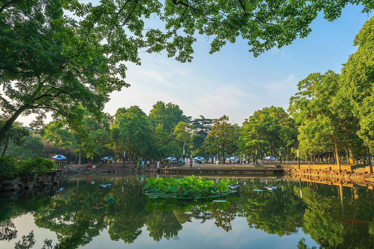 太仓浏河江滩湿地公园图片