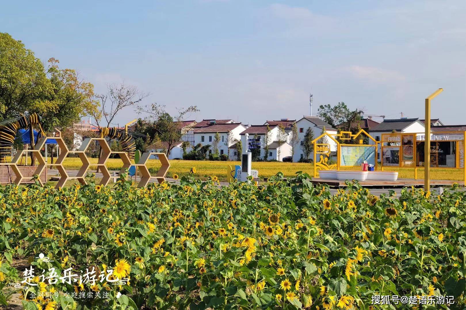 永旺村花海简介图片