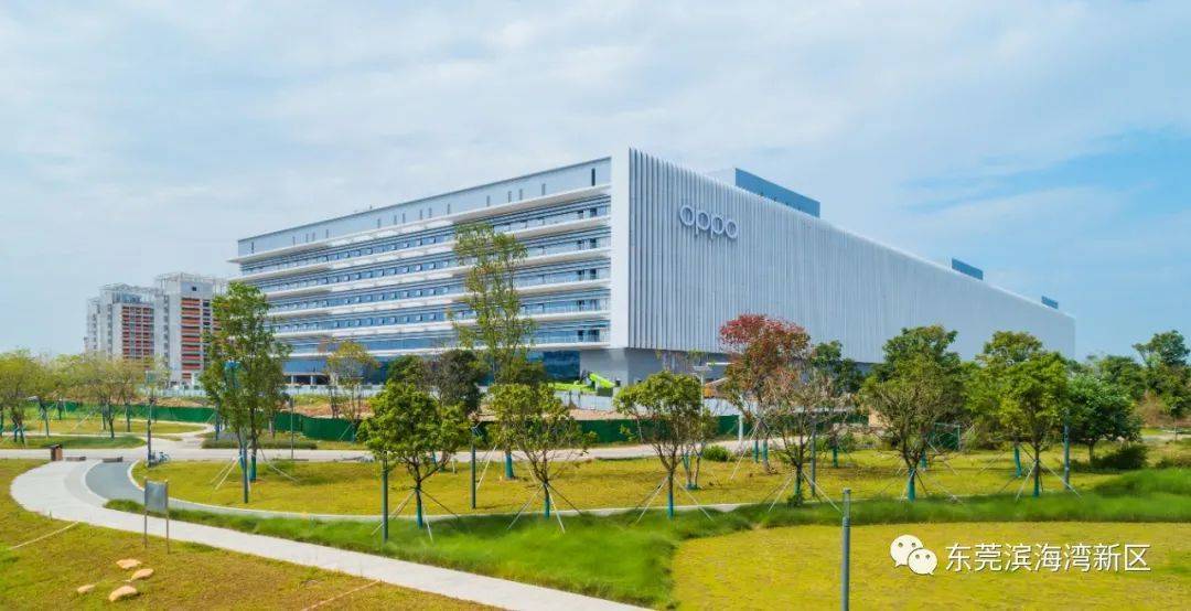 滨海湾oppo智能制造中心"大变样"_厂房_建设_智造