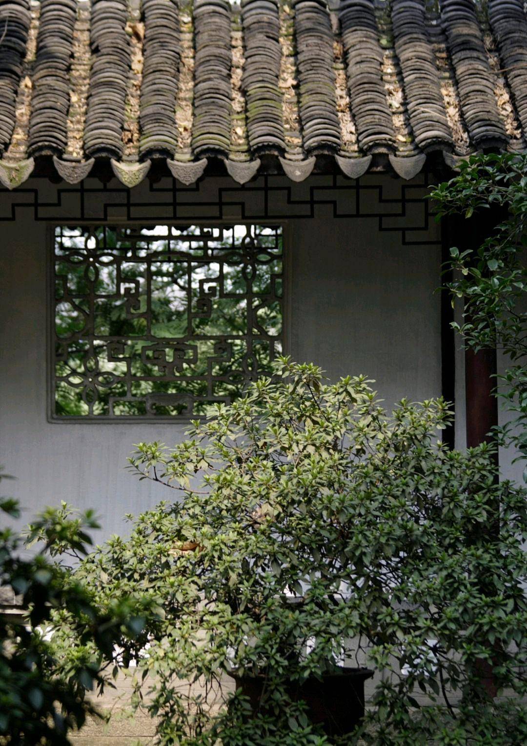 苏州恩纶亭:古老园林中的神秘角落_历史_亭子_古城