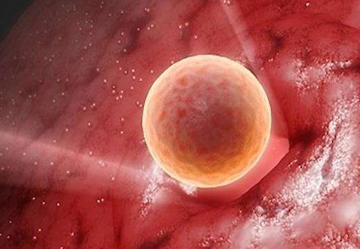 胚胎移植后剩余未使用的胚胎能保存多久?液氮会影响胚胎质量么?
