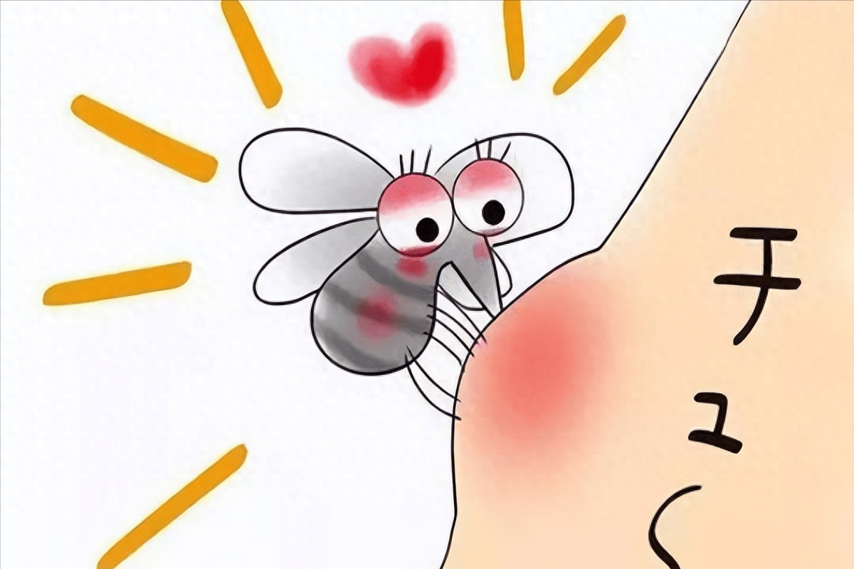 夜晚无法乘凉的秘密:花蚊子入侵中国五十年的背后真相_繁殖_生活_天敌