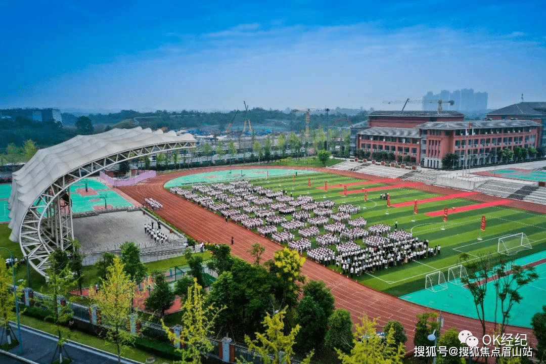 中学:天府四中(k12),天府七中,石室中学(规划中)小学:天府三小(龙江路