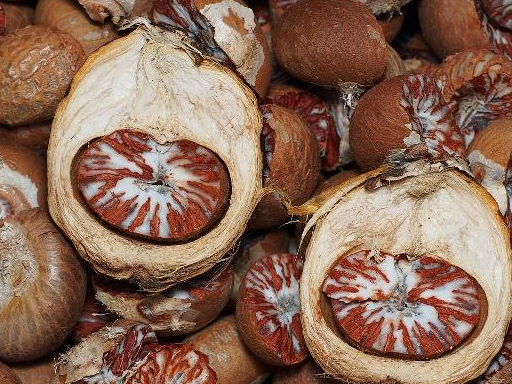 钟爱"槟榔"的人,可能会收到这3份"大礼",常吃的人不妨一看_过程_口腔