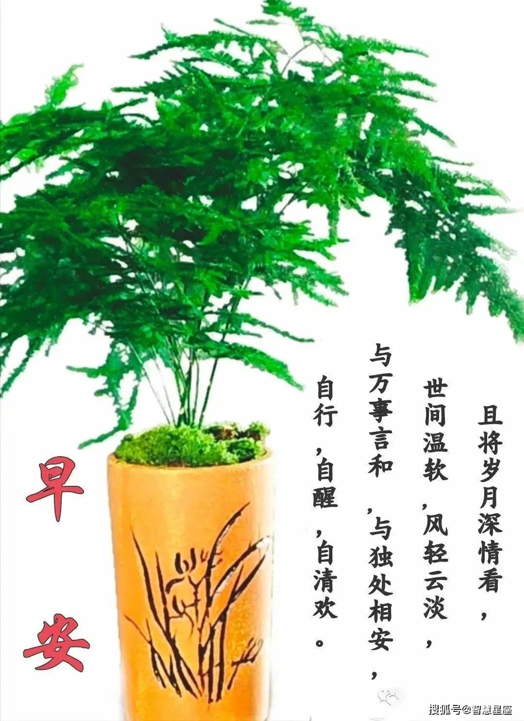 11月13日周一早上好图片带字精选祝福语,暖心的问候语录.新周愉快!