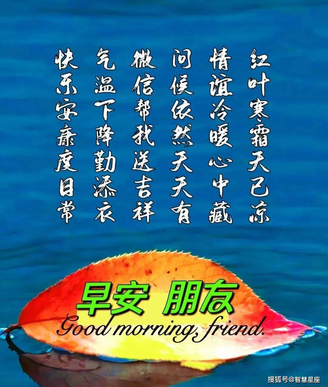 11月13日周一早上好图片带字精选祝福语