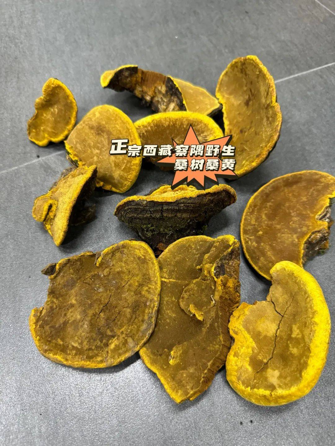 桑黄的服用时间和服用方法:什么时候服用最好,桑黄最佳搭配吃法_桑树