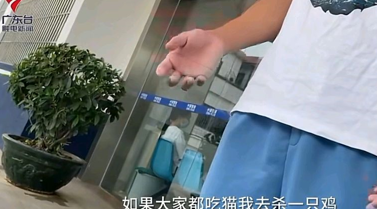 广东一小伙偷走他人的宠物猫，虐杀后喂食自家猫咪，最后道歉赔偿