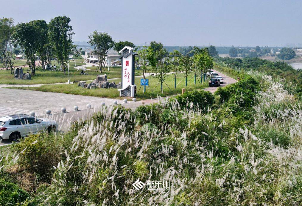 乐山这条大道上榜,好看又好吃→_沙湾区_地址_市中区