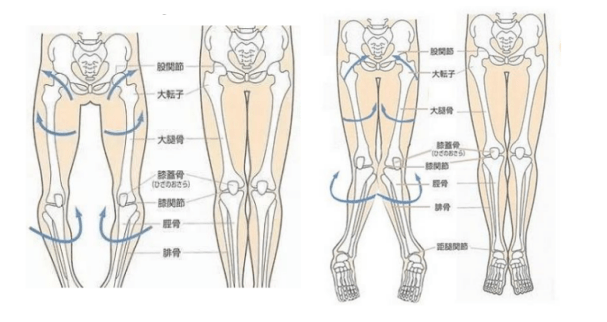 大腿外翻怎么改善图解图片