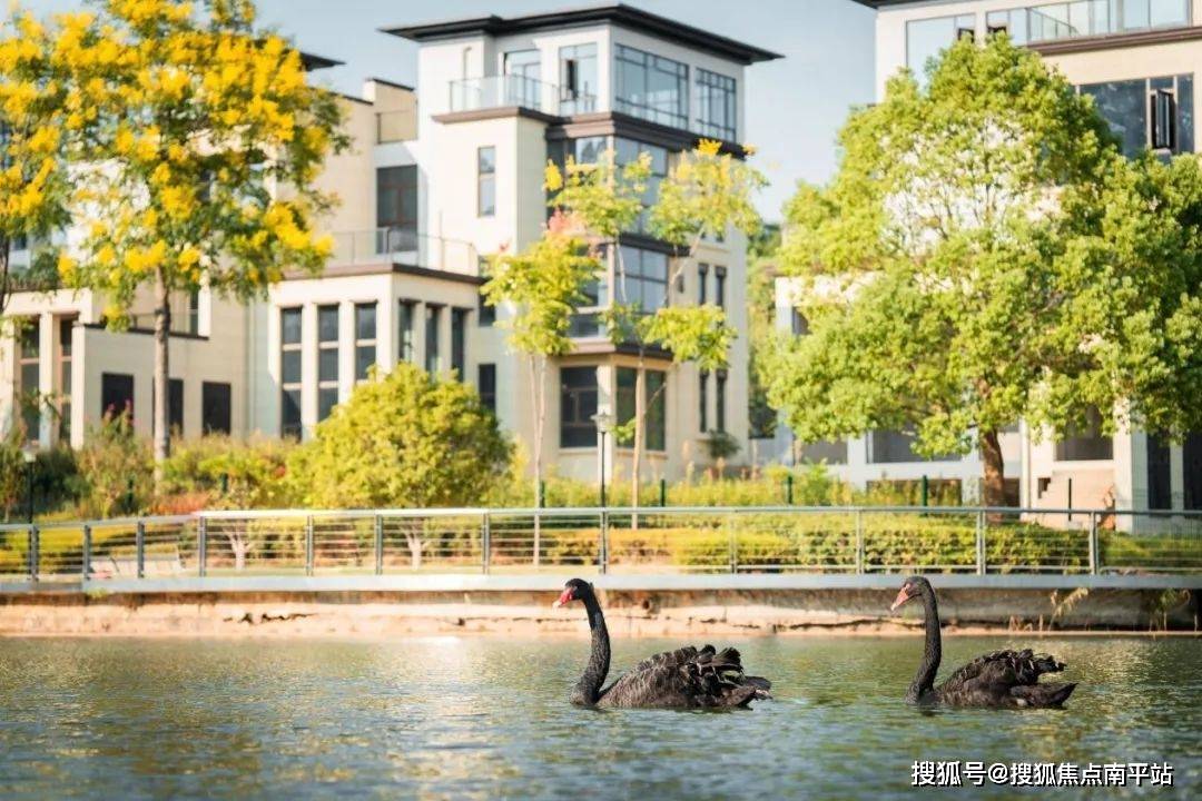 长沙【麓隐青竹湖别墅】售楼处电话—24h热线电话—在售面积价格详情