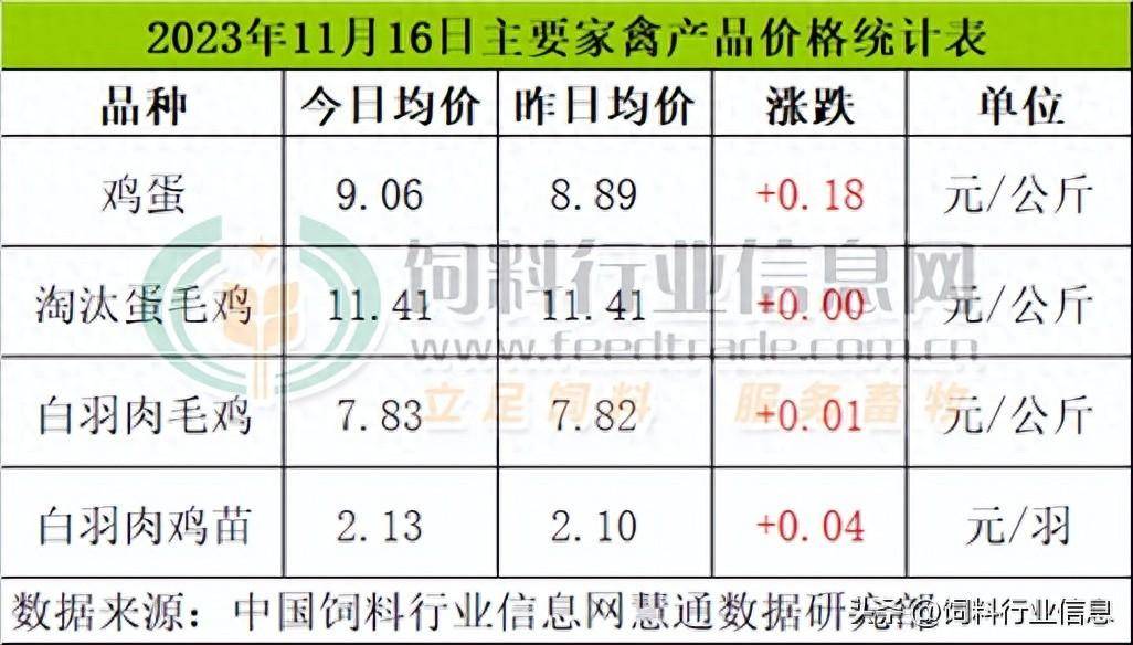 鸡苗市场:今日白羽肉鸡苗价格偏强震荡