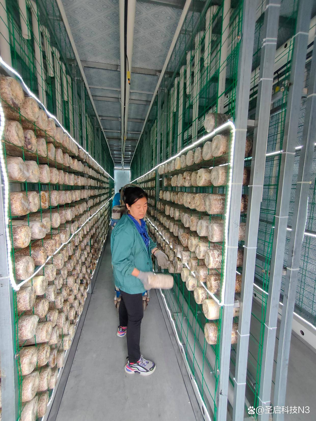 应用_生产_闲置