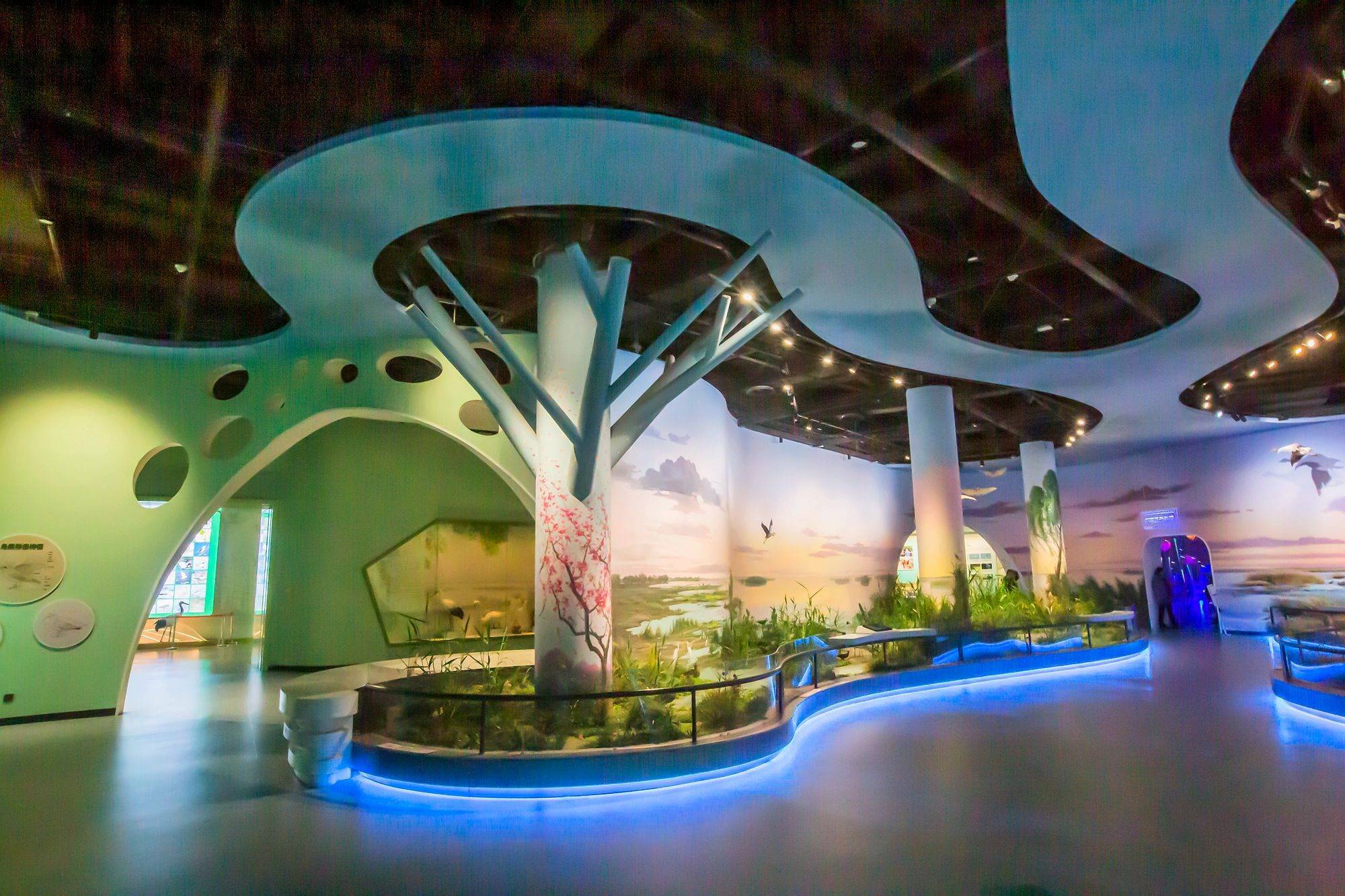 衡水湖湿地生态馆,体验生态美景,科普自然知识,是研学游好去处_鸟类