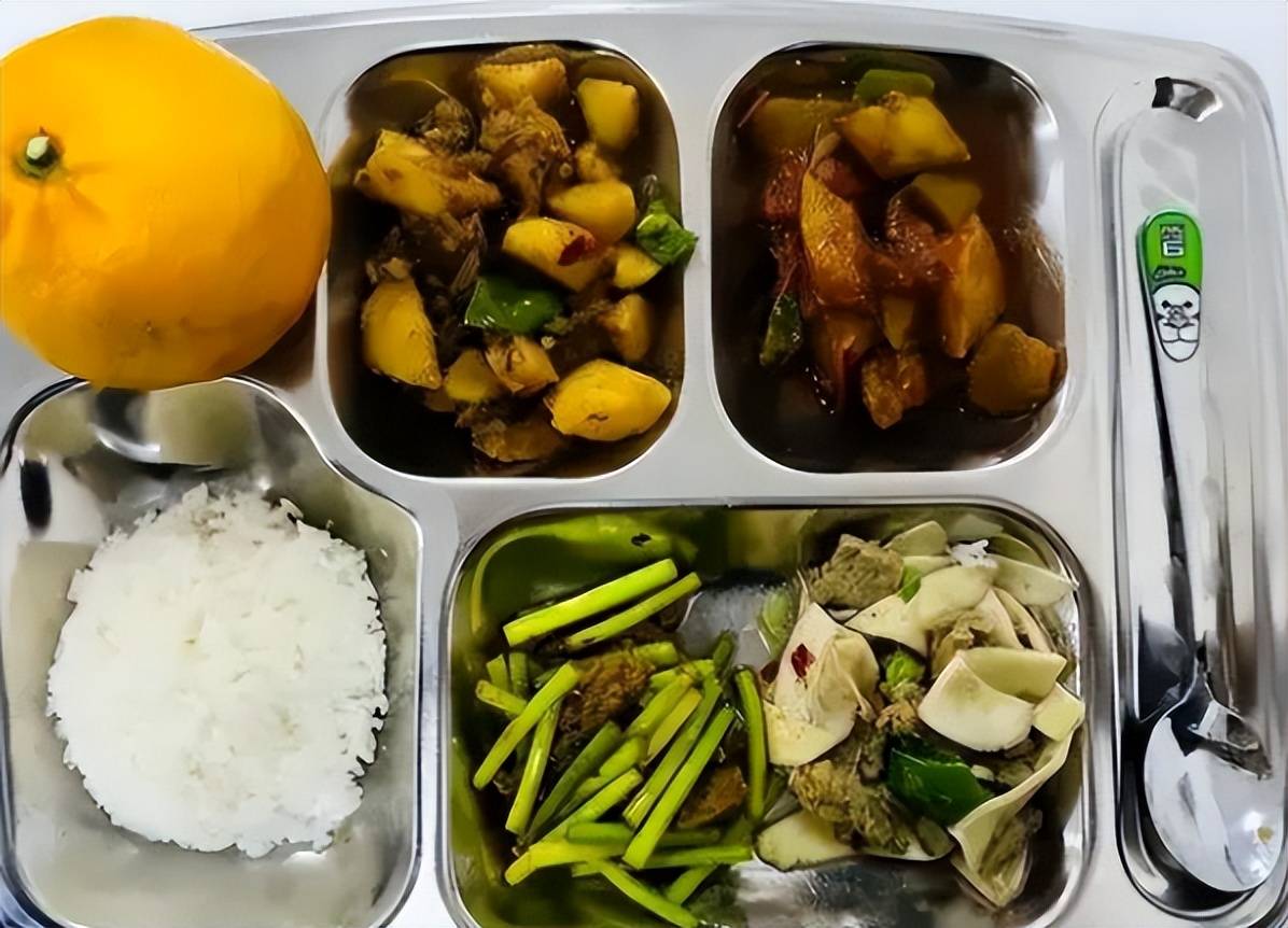 事业单位女生晒食堂伙食,打工人看后破防了,怪不得都想进体制内