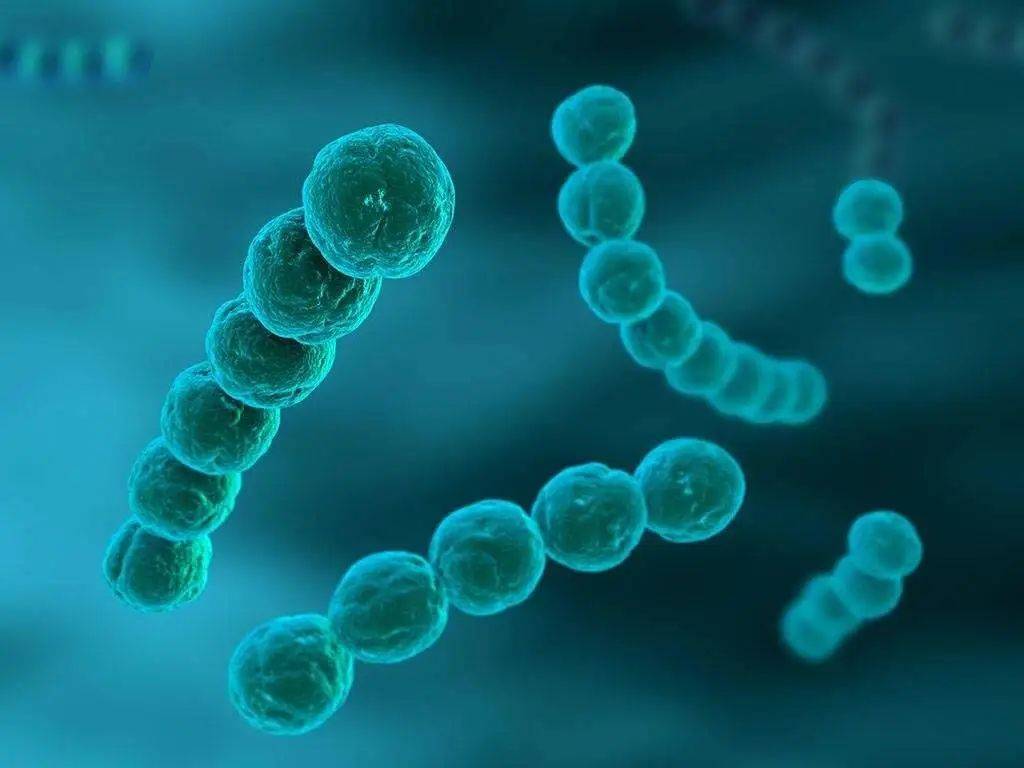 世界早产日:b族链球菌感染与胎膜早破 丨 广东阳光生物_孕妇_筛查