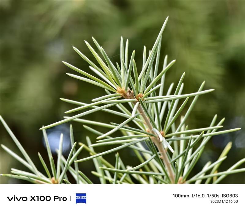 拍月亮那都不是事儿！vivo X100 Pro评测：APO认证的超级长焦 它能拍太阳(图47)