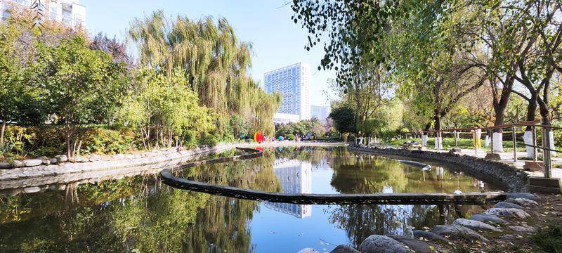 西安文景公园冬景宜人_窦翊明_美景_天气