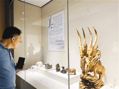 游6,221,45,606,48,25,33路坐到石羊农庄或理工大曲江校区站