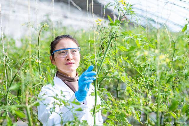 植保员怎么考？植保员是什么？证书有什么作用？