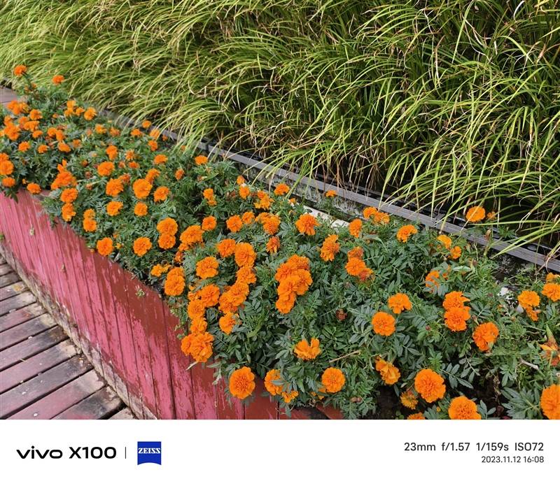 潜望长焦不再是超大杯的特权！vivo X100评测：最具性价比的标准版影像旗舰(图20)
