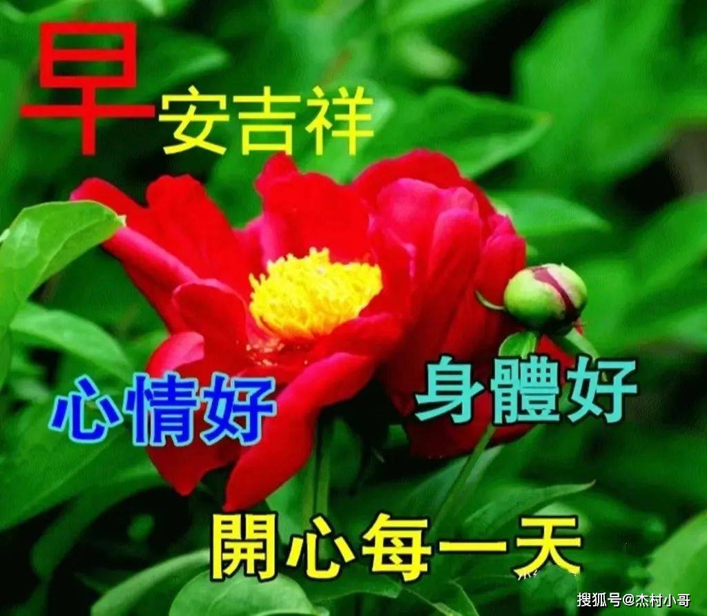 2023年11月19日星期天早上好问候祝福动态表情图片大全_朋友_人生