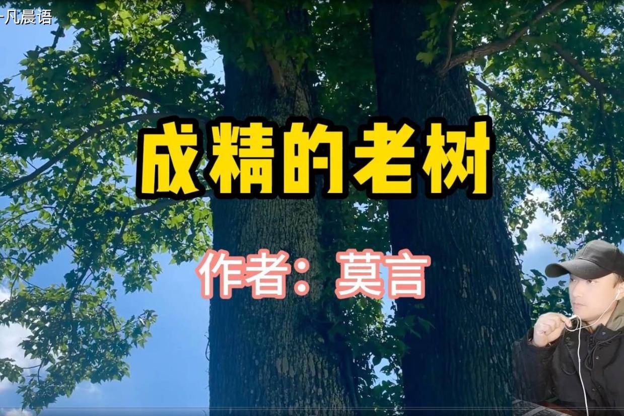 经典散文,《成精的老树》,作者莫言