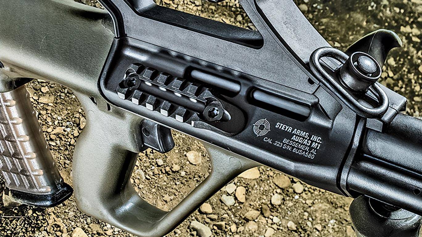 斯太尔的 aug业内最知名的枪械之一,在游戏中都用过_版本_光学_枪支