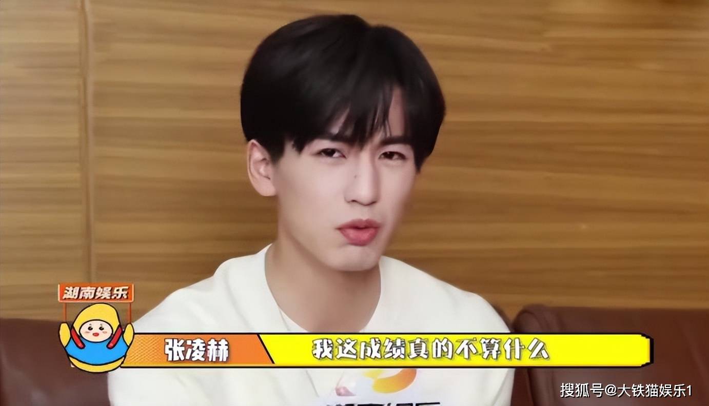 个个有颜有实力,甩绝望文盲几条街_张新成_表演_成绩