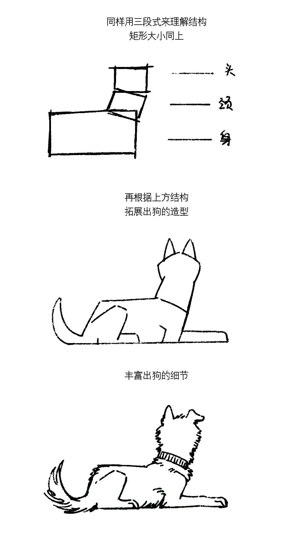 画犬不成反扣分,联考速写画狗必胜秘籍!简单易上手_考题_自由_同学
