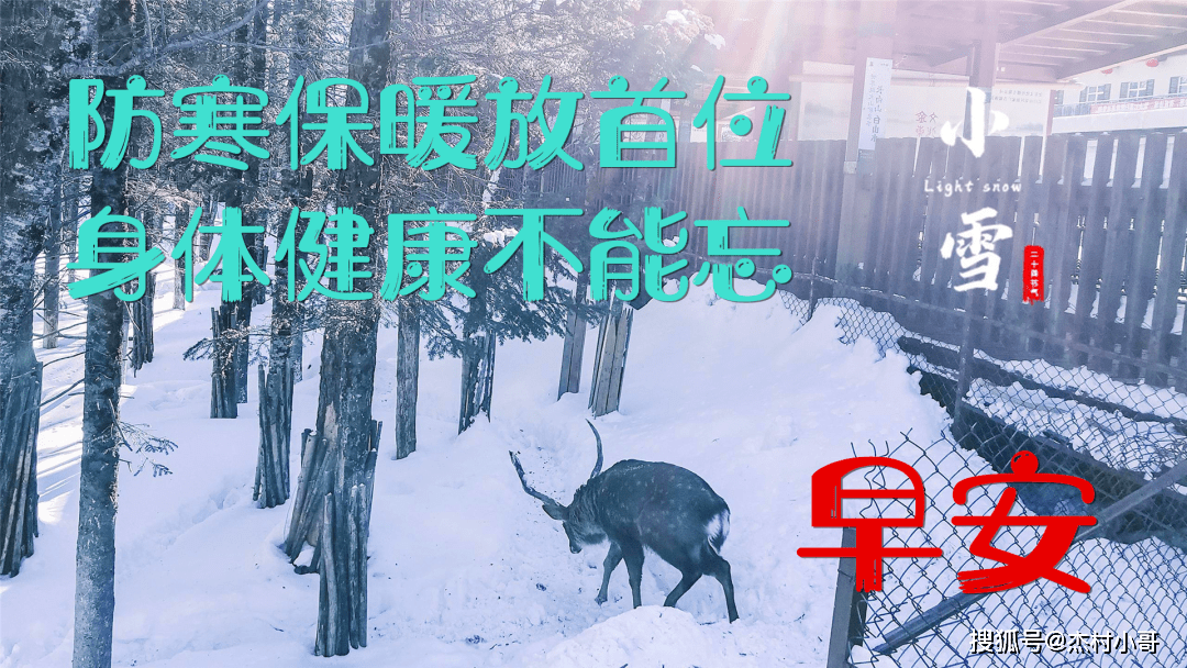 最新小雪早上好表情包大全,天冷了,照顾好自己,祝大家小雪节气快乐!