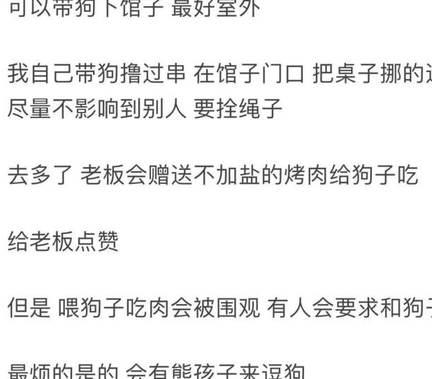网友爆料在北京的某餐厅内，网友带着自己的宠物狗一同上桌吃饭，看上去十分不卫生，在网上引起了讨论。
