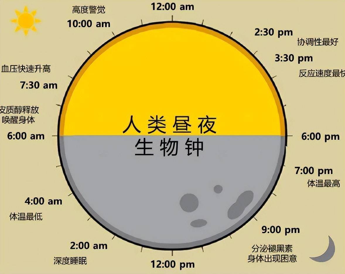 生物钟准的幽默图片图片