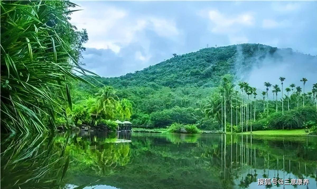 海南茶溪谷景点简介图片