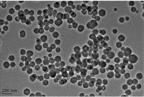【瑞禧生物】中空介孔普鲁士蓝纳米颗粒 普鲁士蓝纳米粒子 普鲁士蓝