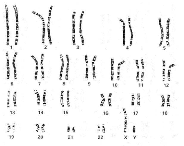 顾名思义