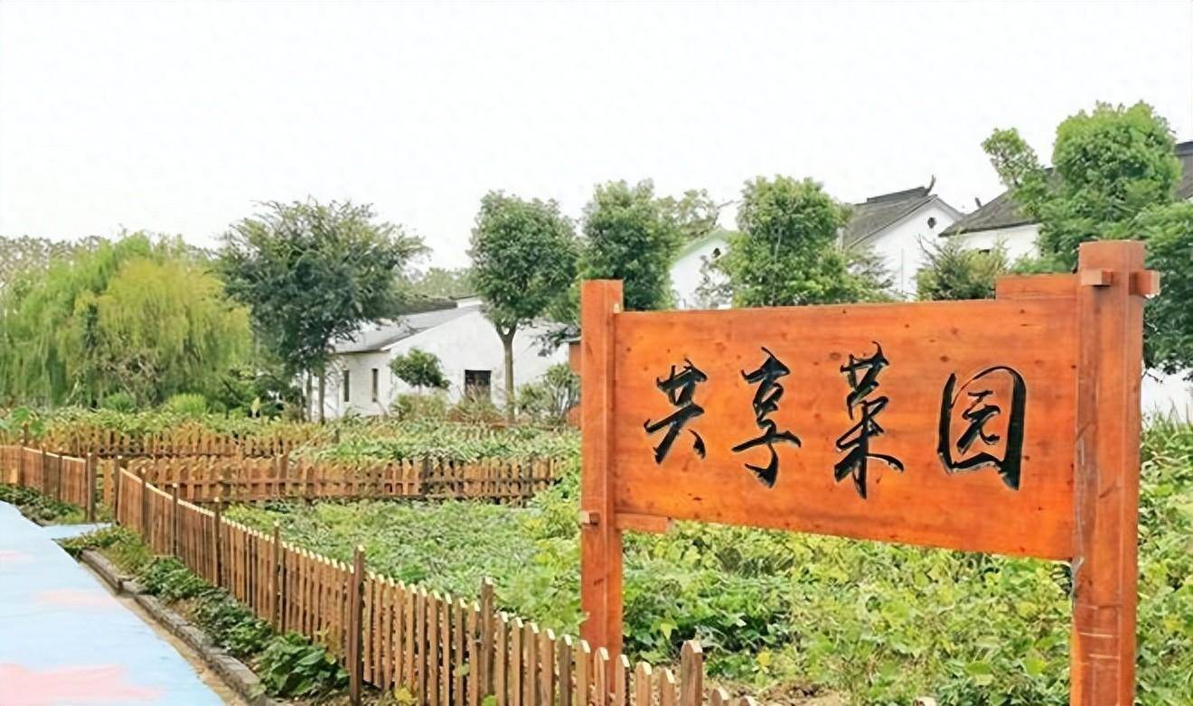 土地认养模式:让农业走进城市家庭的新风向