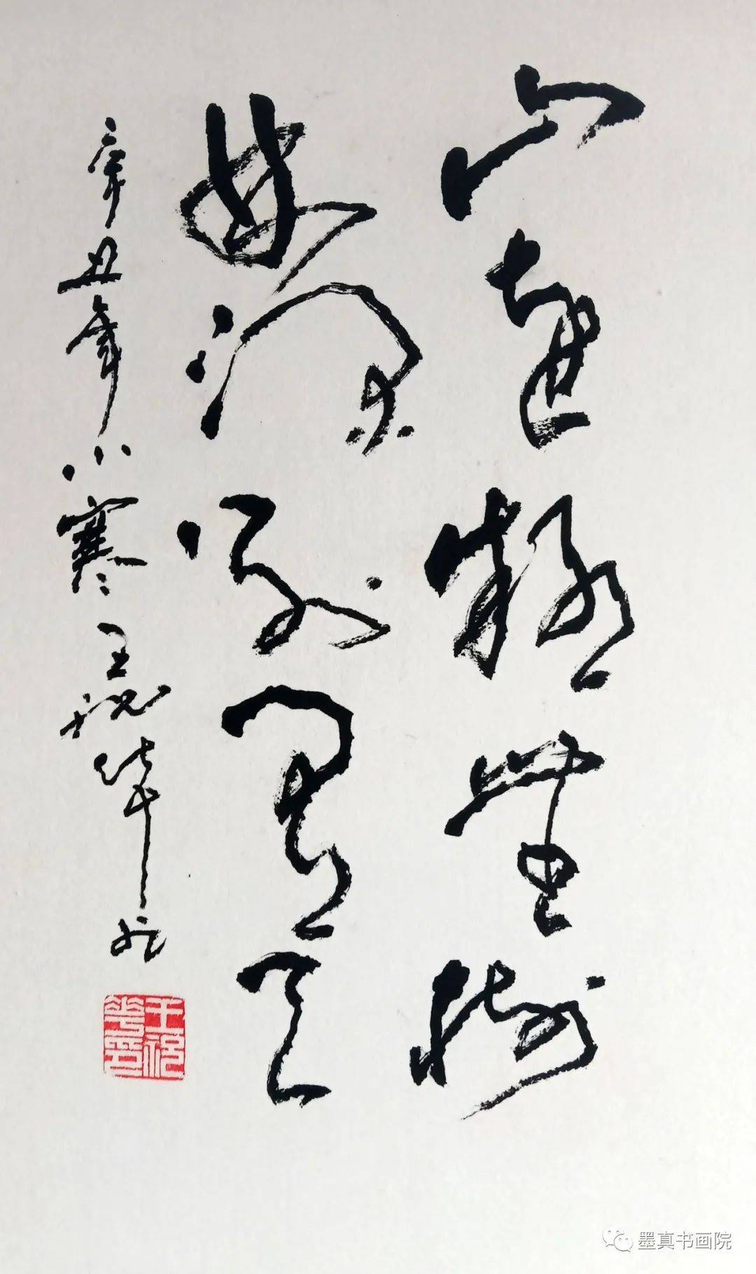 王祝华|众妙之缘-2024全国百位书画家名人录_武清_河北_毕业