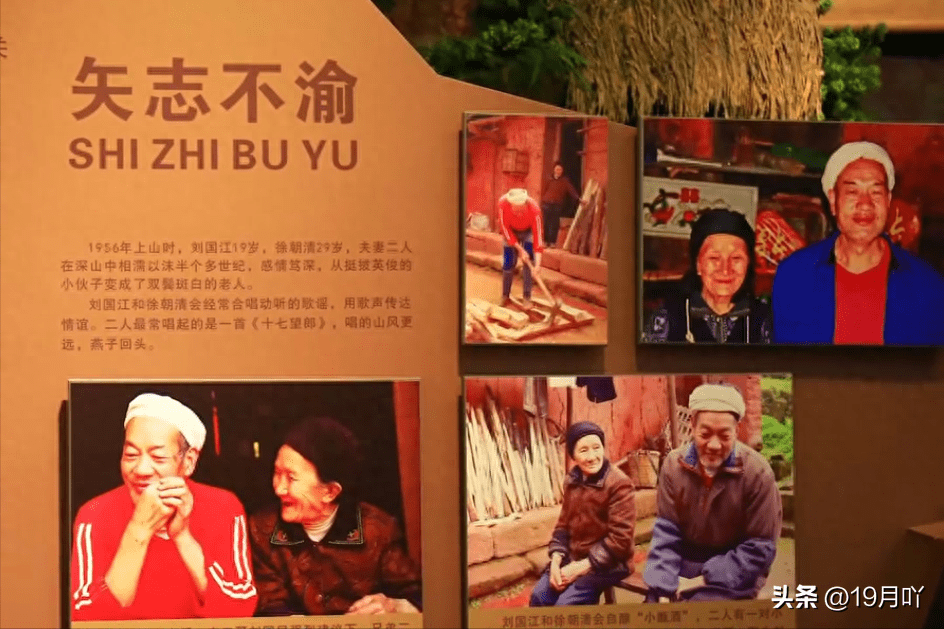 爱情_刘国江_徐朝清