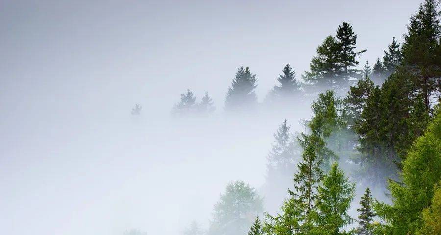 家电厂商的经营软肋被内卷的市场掩盖了-家电圈官网