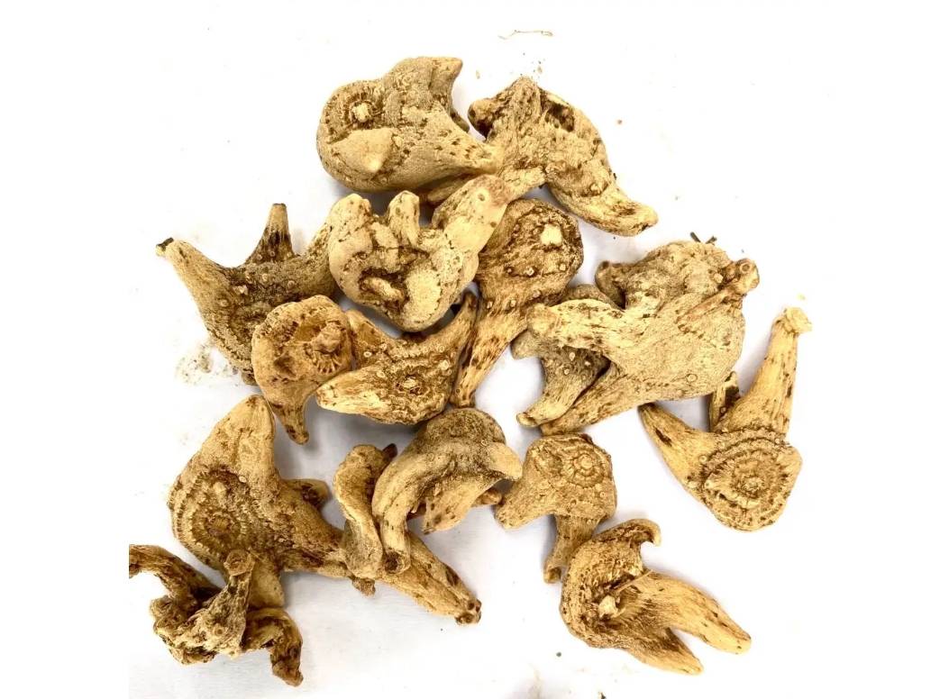 中药材白芨,50亩年利润80万,好种植易管理_土壤_种子_成本