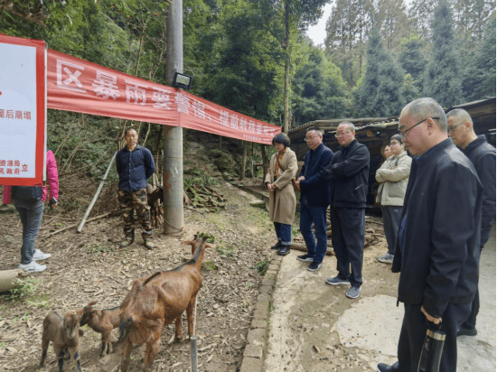 隨後,專家服務團實地調研了麻羊養殖戶,詳細詢問麻羊養殖前,中,後端