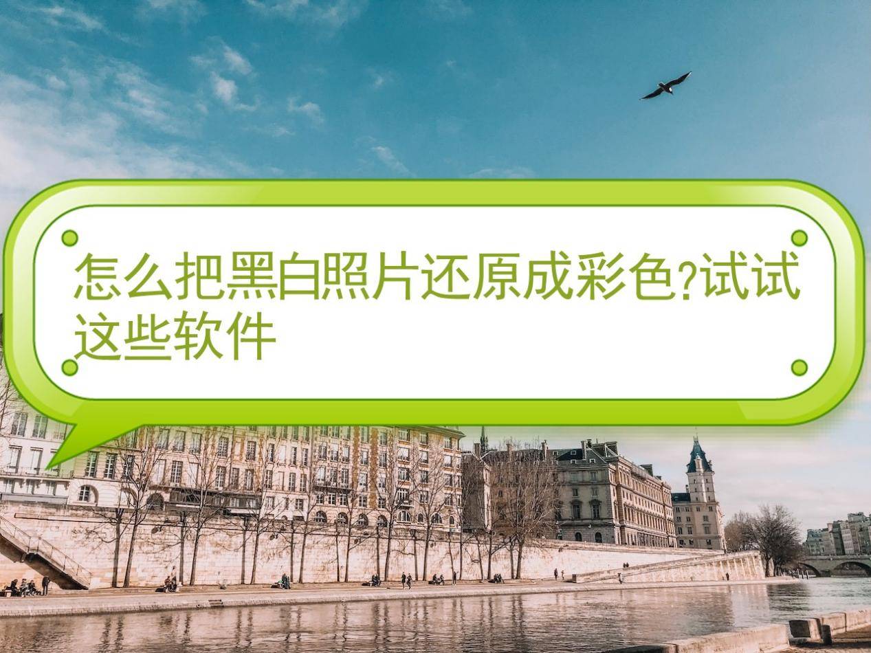 怎么把黑白照片还原成彩色?试试这些软件_进行_用户_支持