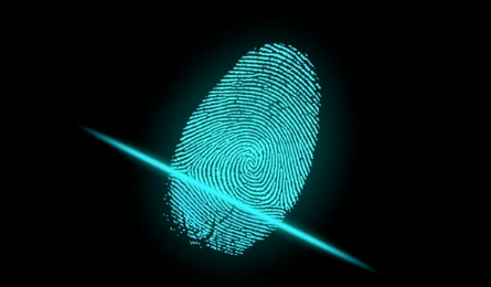 手机指纹解锁,要被抛弃?_技术_电容式_超声波