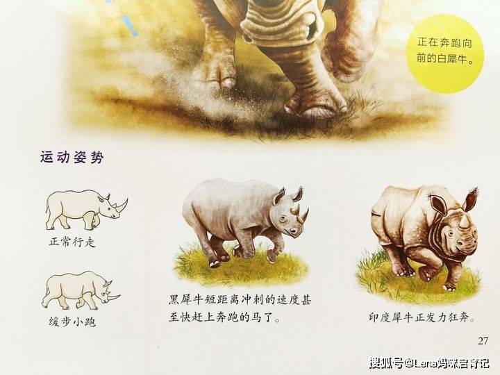 鲜为人知的小知识这本书里还花了一些篇幅专门介绍了苏门答腊犀牛和貘