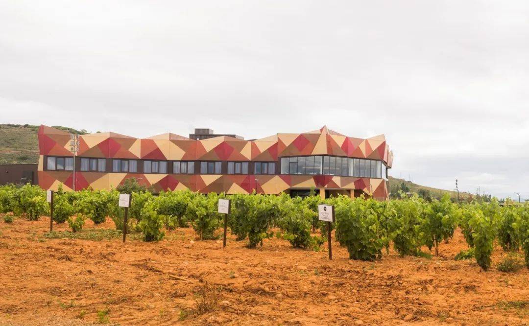 combodegas puente del ea · 艾尔之桥酒庄酒庄位于海岸海拔520米的