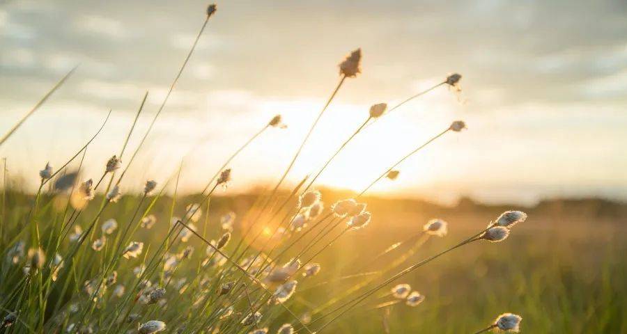 洗衣机企业的细分化之路正越走越宽-家电圈官网